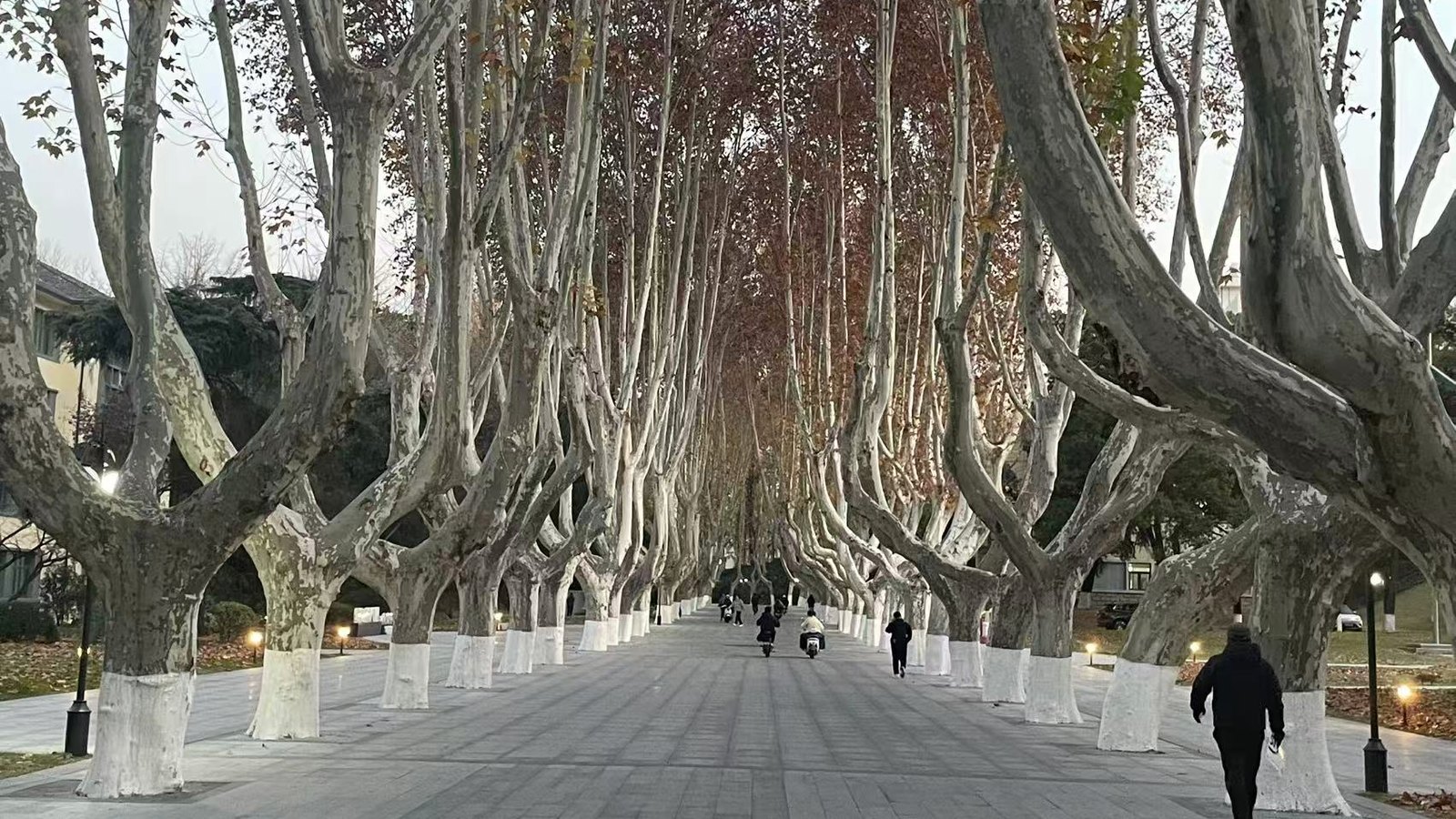Hohai University